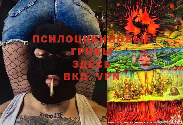 мяу мяу мука Лабытнанги