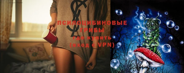 стаф Ладушкин