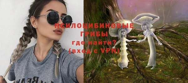 прущая мука Алексин